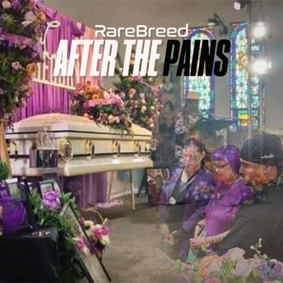 After The Pains - EP