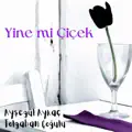 Ayşegül Aykaç & Tolgahan Çoğulu
