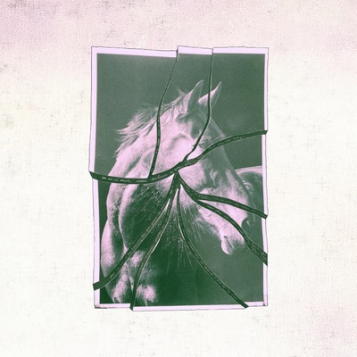 Cowboy - Single