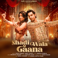 Shadi Wala Gaana (feat. Shreya Poonja) - Single - Divya Kumar & Aamit Kossli