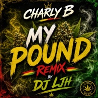 My pound rmx (feat. Charly B) - Single - Dj Ljh