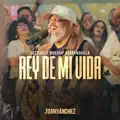 Rey de Mi Vida