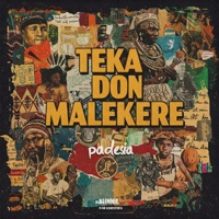 Teka (feat. Ozzynation) - Single - Don Malekere