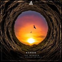 The Wonder - Single - kardo & Discognition