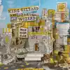 King Gizzard & The Lizard Wizard - You Can Be Your Silhouette