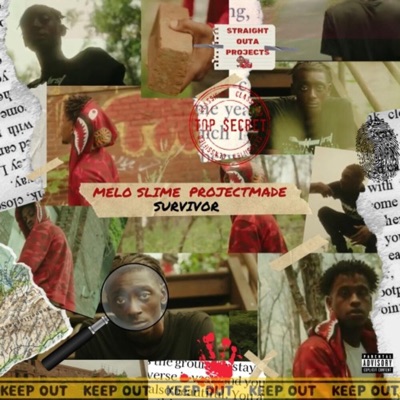 Survivor (feat. ProjectMade) - Single