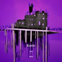 Castle (feat. Malieak) - Single - Zodeae