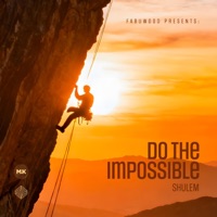 Do the Impossible - Single - Shulem