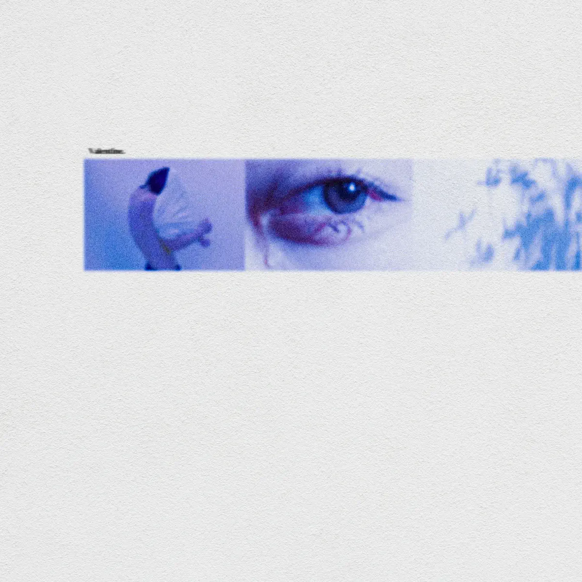 Aiowell - Valentine - EP (2025) [iTunes Plus AAC M4A]-新房子