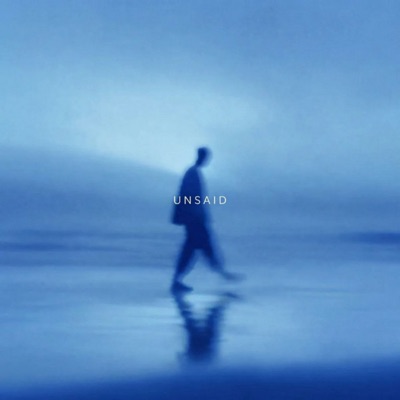 Unsaid - Single