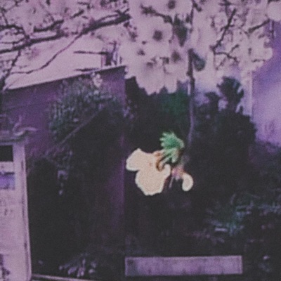vista - Single