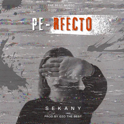 Perfecto (feat. Sekany) - Single