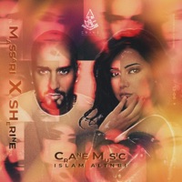 AHMAD ISLAM ALTNBI & CRANE MUISC - Massari - Real Love _Sherine - Batmanna Ansak  شيرين - بتمنى أنساك