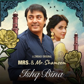 Ishq Bina (From 