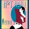 Needle