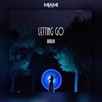 Letting Go - Single - Akmalov
