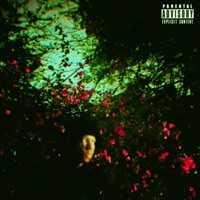 Vibeslow (spedup) - Single - Shadvw