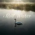 Still Water