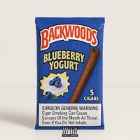Blueberry Yogurt - Single - BlueBillz