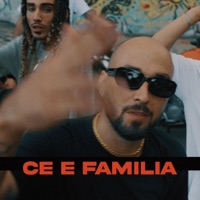Ce e familia (feat. Amuly & Spectru) - Single - Samurai Romania