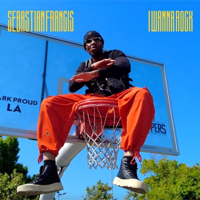 I Wanna Rock - Single