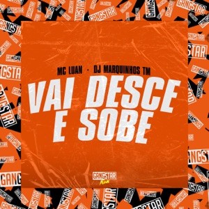 Vai Desce e Sobe