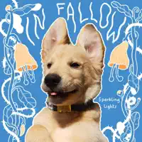 In Fallow — In Fallow