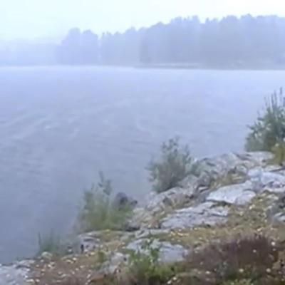 peek through my skull - Single