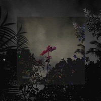 By Desire - Single - Zephyr Avalon & Olivia Jane