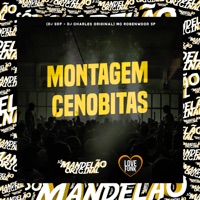 Montagem Cenobitas - Single - Mc Robenwood Sp, dj sdf & DJ Charles Original