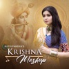 Krishna Mashup - Single