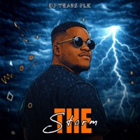 Album cover for The Storm by DJ Tears PLK