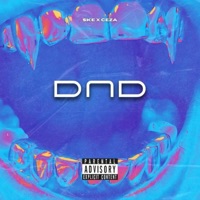 DND (feat. ceza) - Single - ske