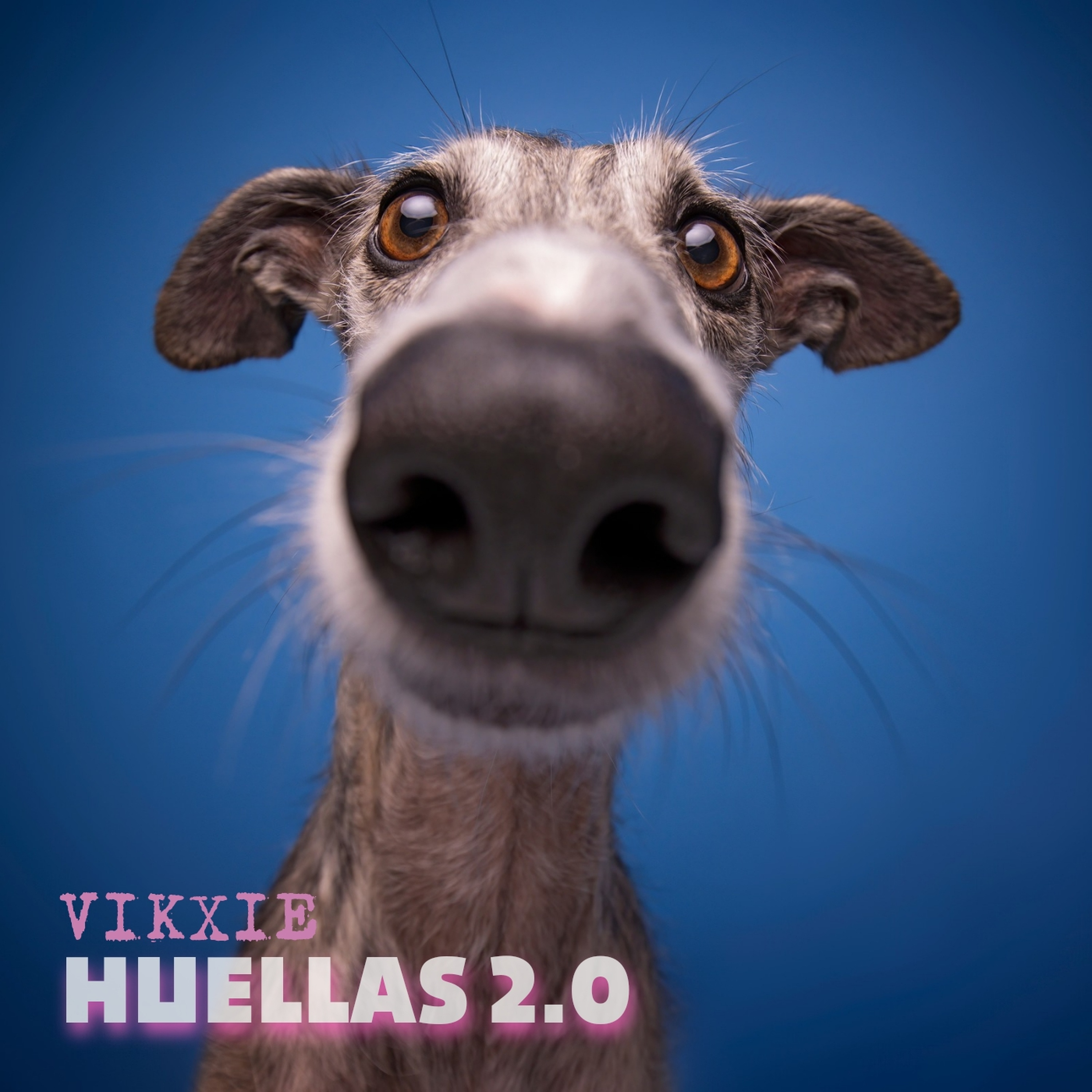 Huellas 2.0 - Single