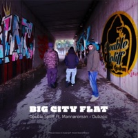 Big City Flat (feat. Dubzoic) - Single - Double Spliff & Mannaroman