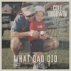 What Dad Did - Single