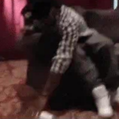 Oh My Gosh! - Single