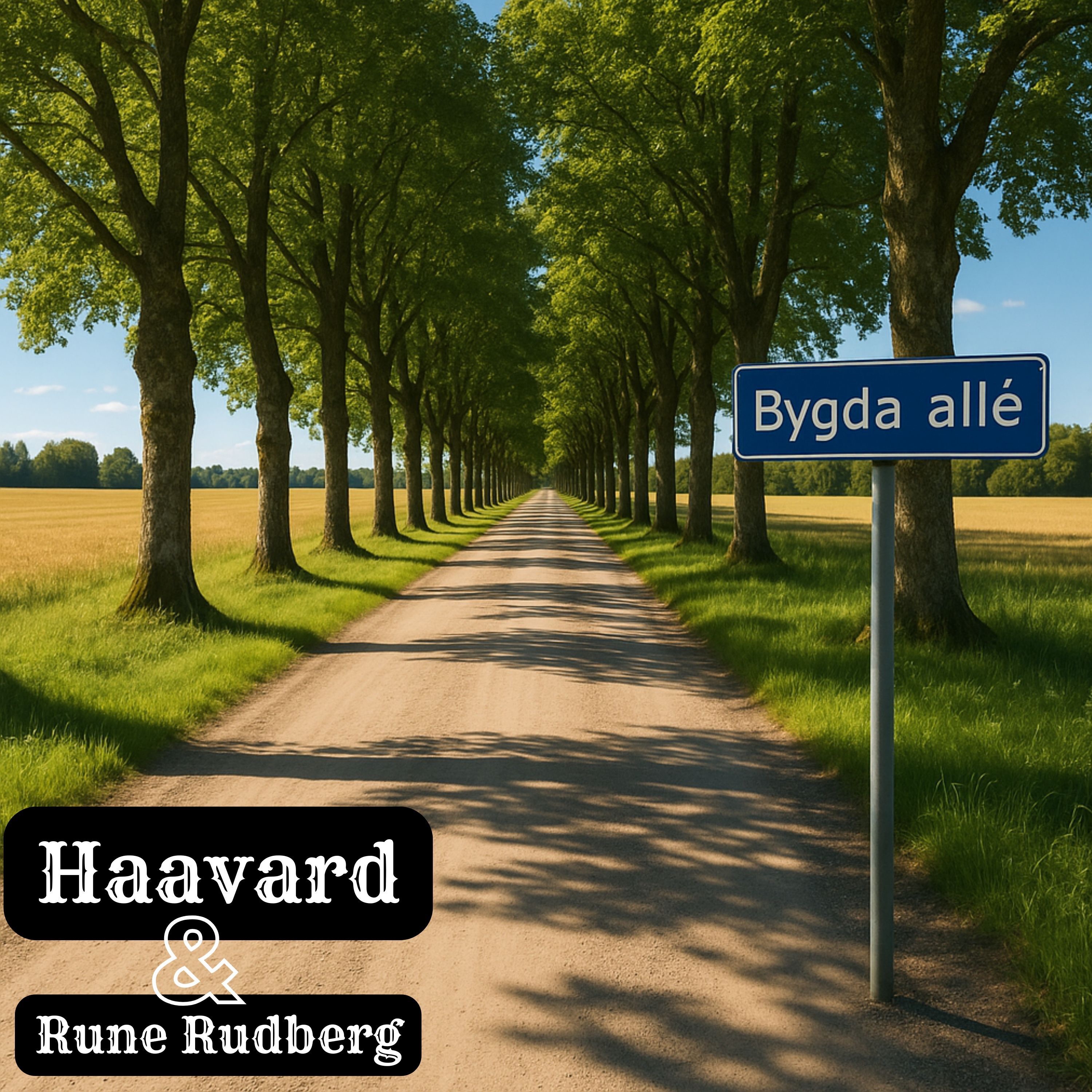 Bygda allé - Single