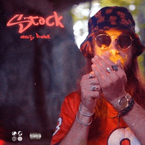 Stock