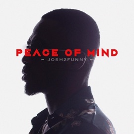 Peace of Mind Josh2funny