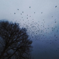 zu groß - Single - Makc & mypoemsaboutyou