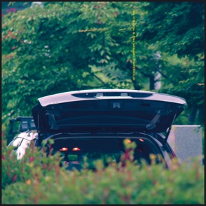 Pareidolia (Single Edit) - Single