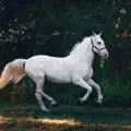 Cuando tenga que marcharme