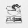 Minefields (feat. Yarrow.co) - Single