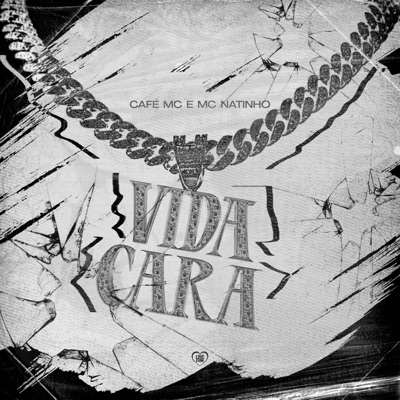 Vida Cara - Single