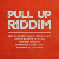 Mellow Mood & Forelock - Nowhere (Pull Up Riddim)