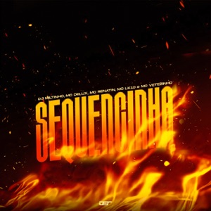 SEQUENCINHA (feat. Mc Delux)