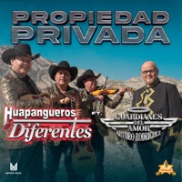 Propiedad Privada (feat. Guardianes Del Amor De Arturo Rodriguez) - Single - Huapangueros Diferentes