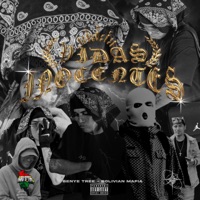Vidas Inocentes (feat. Bolivian Mafia) [Mc Manik Remix] - Single - Benyee Tree