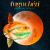 Minuit sur la terre